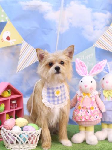 20240324リクくん